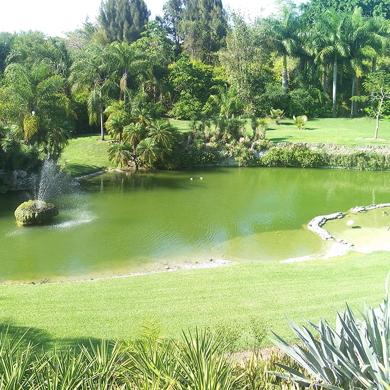 golf course pond in Pinecrest