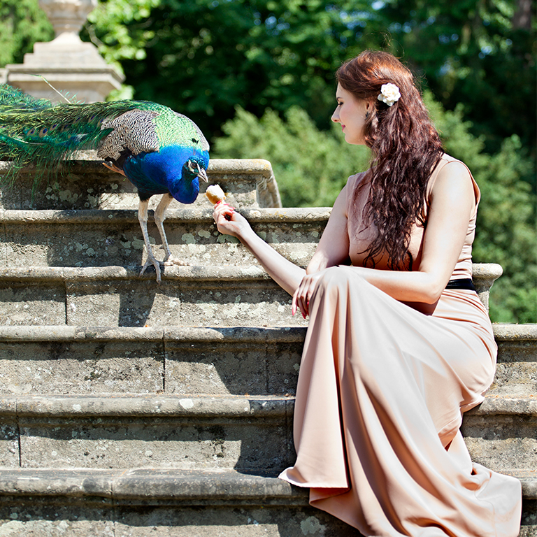 woman feeding blue peacock on steps in El Portal