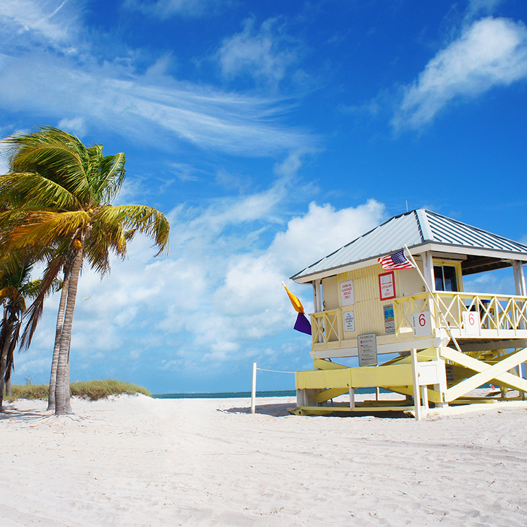 palm trees and lifeguard tower in Key Biscayne